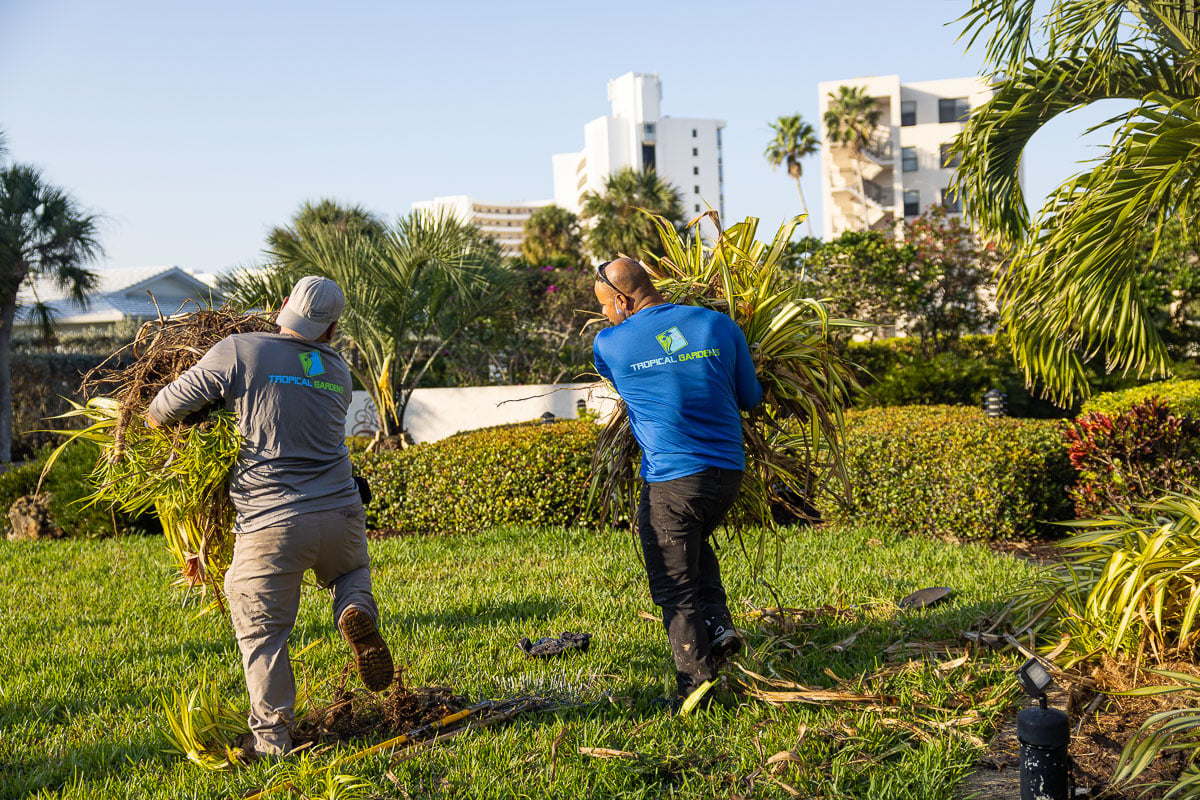 commercial landscape maintenance crew prune 2