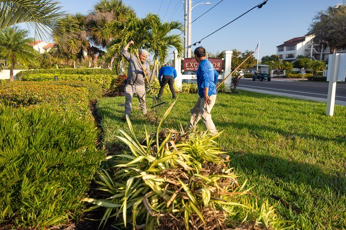 commercial landscape maintenance crew prune 8
