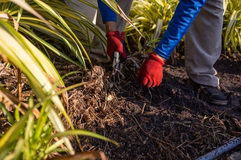 mulch being replaced