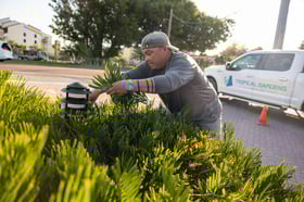 commercial landscape maintenance crew trimming 2