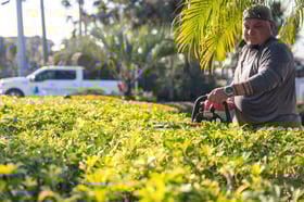 commercial landscape maintenance crew trimming 8