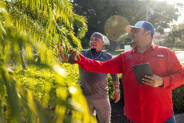 commercial landscape maintenance crew walkthrough 7