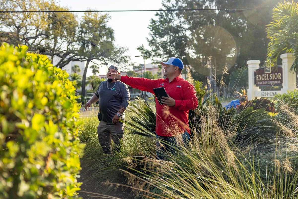 commercial landscape maintenance crew walkthrough 9