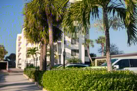commercial landscape maintenance hedge shrubs