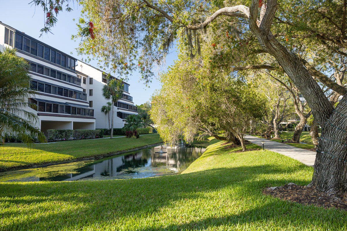 commercial landscape maintenance turf shade tree