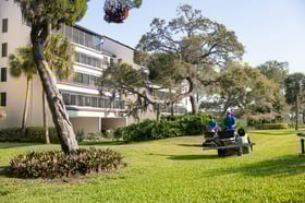 commercial lawn care technician