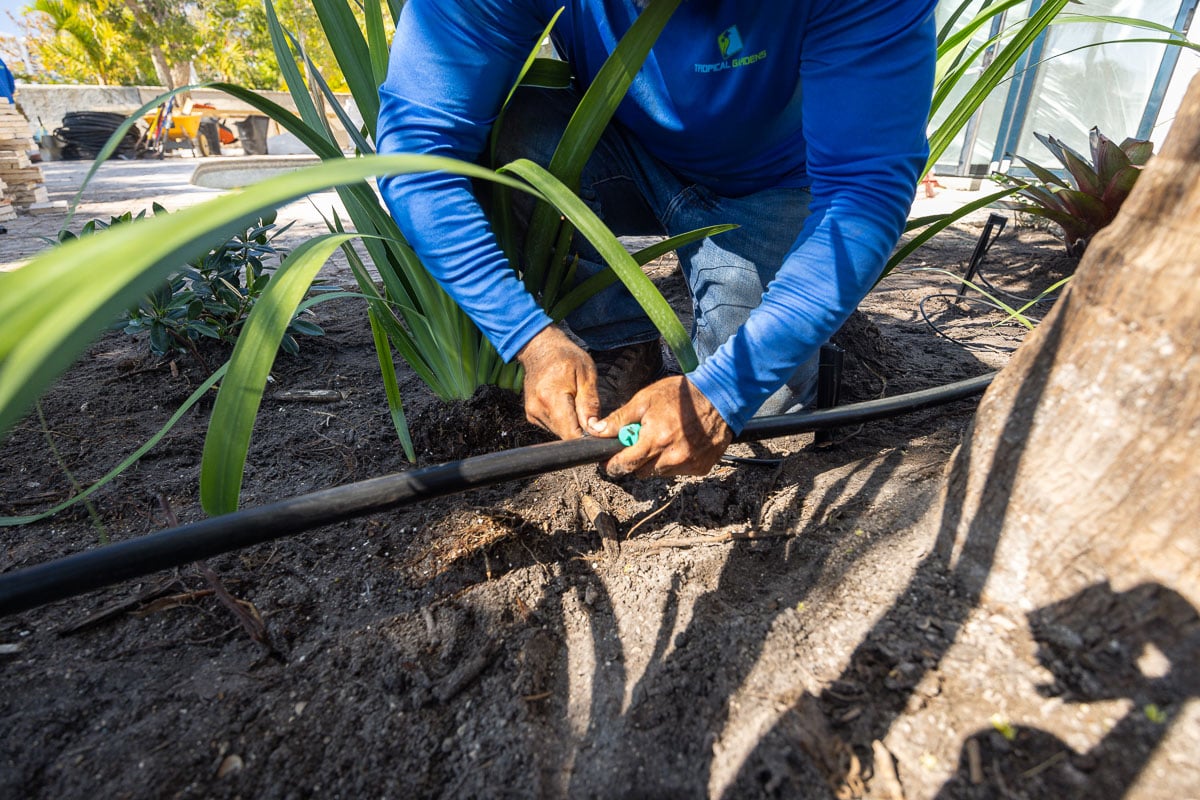 crew irrigation installation 2