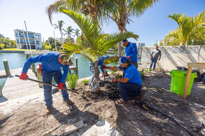 crew planting palm