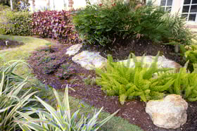 flower perennials bed 7