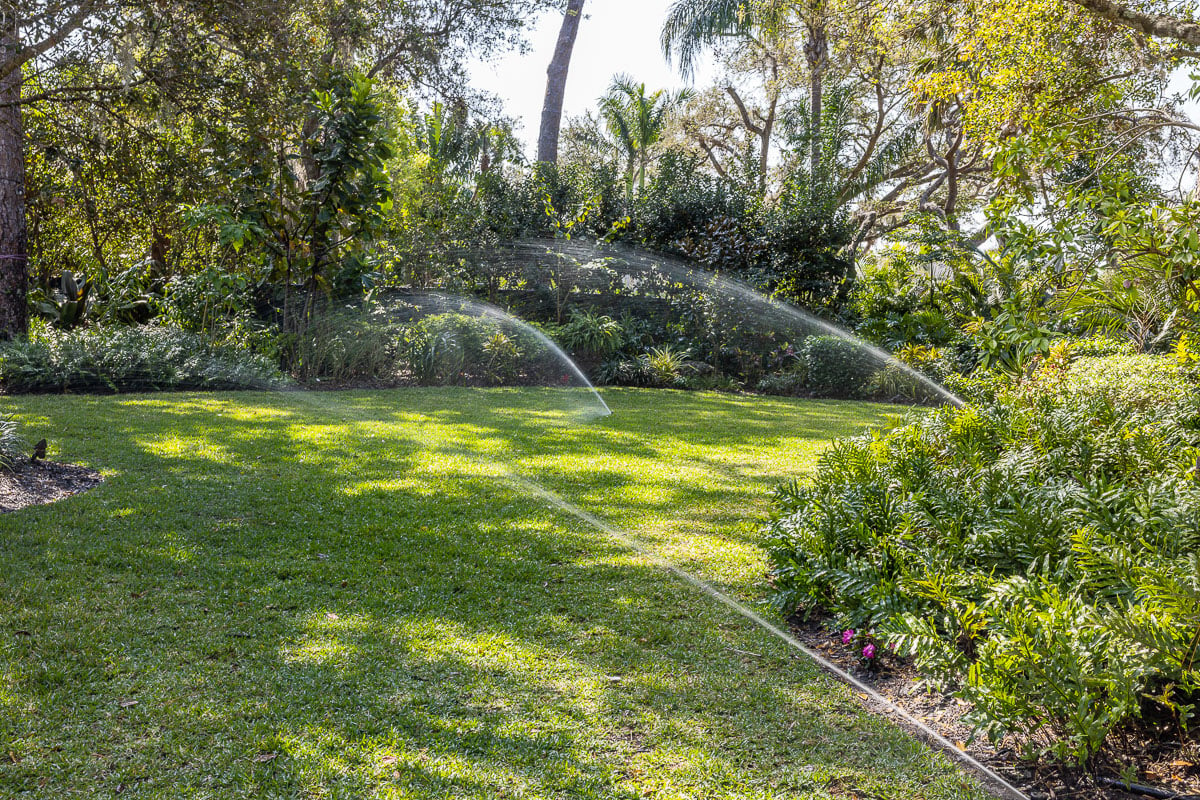 landscape irrigation in backyard