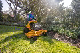 landscape maintenance mowing 3