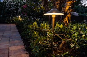 night landscape lights planting bed