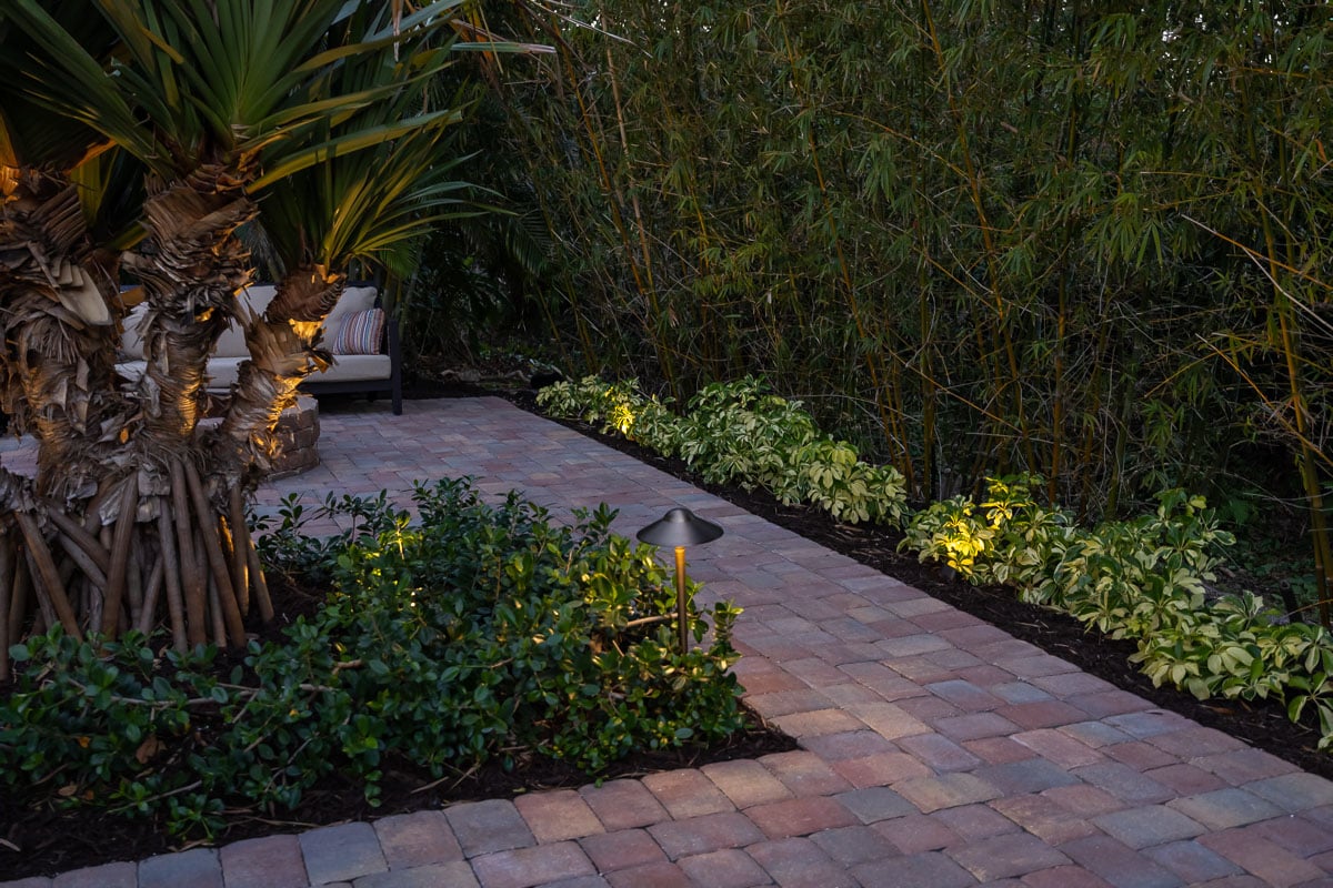 night paver walkway landscape lights planting