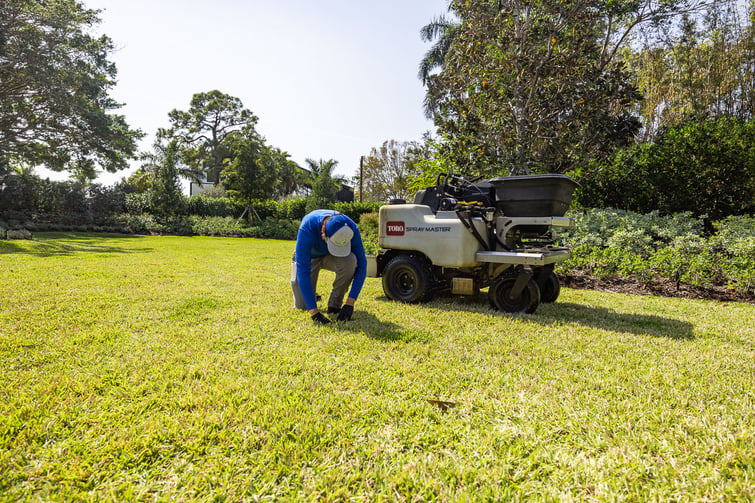 lawn care technician inspecting for grubs