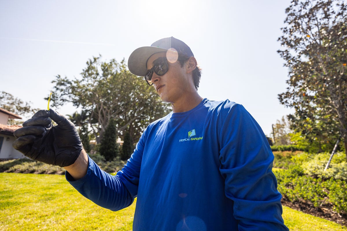 residential lawn care technician fertilization 7