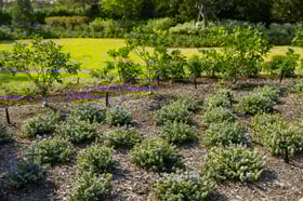 residential maintenance planting bed