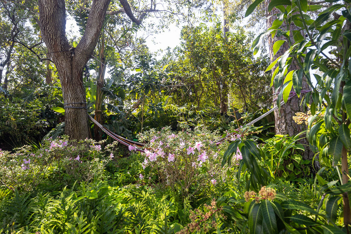 residential maintenance shade garden 3