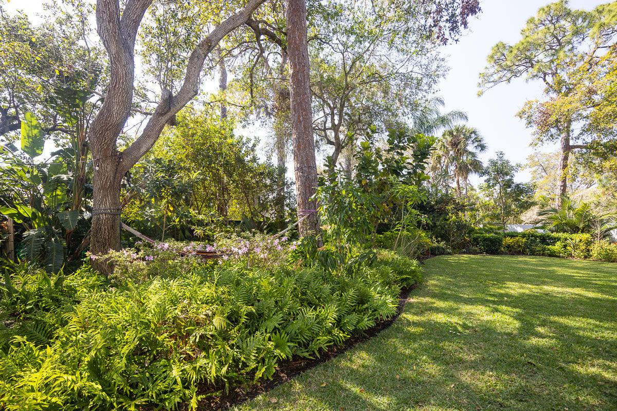 residential maintenance shade garden 6