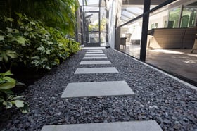 stepping stones planting 2