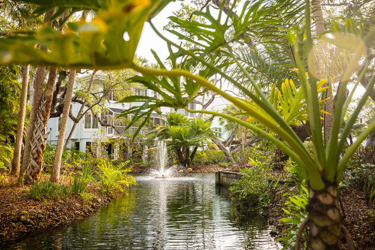 HOA comminity property maintenance pond with fountain 3