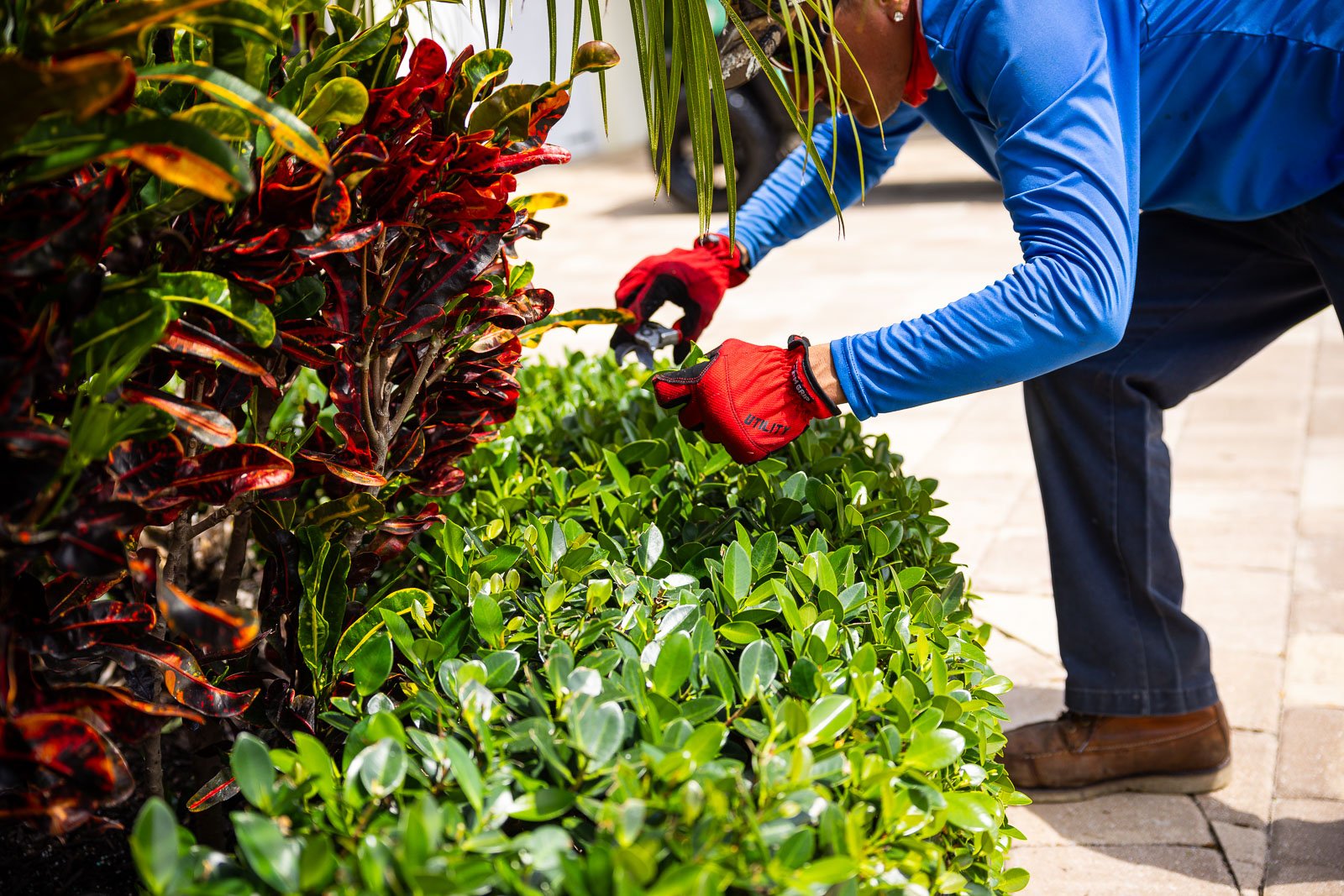 Maintenance crew hand pruning flower beds 2