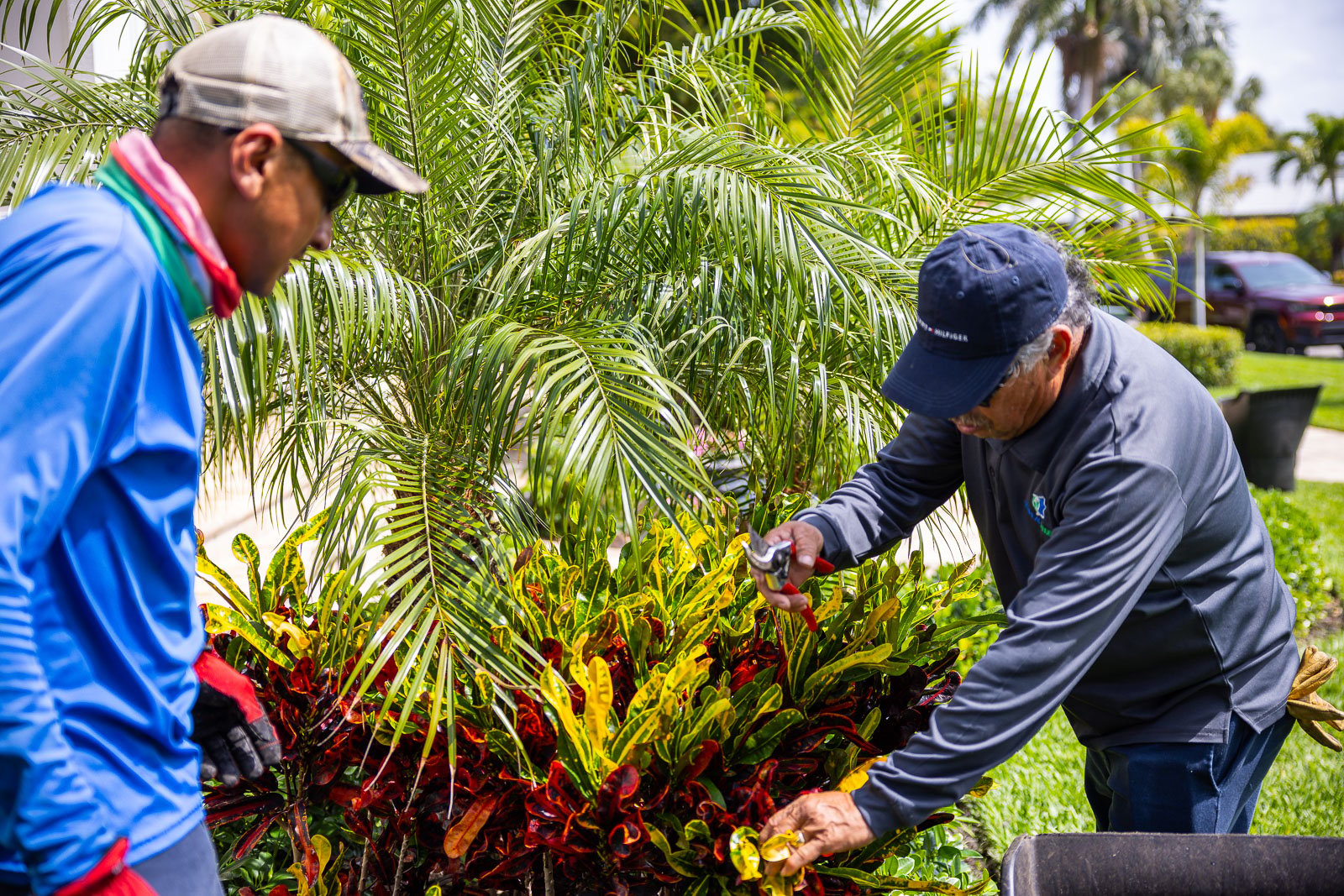 Maintenance crew hand pruning flower beds 6