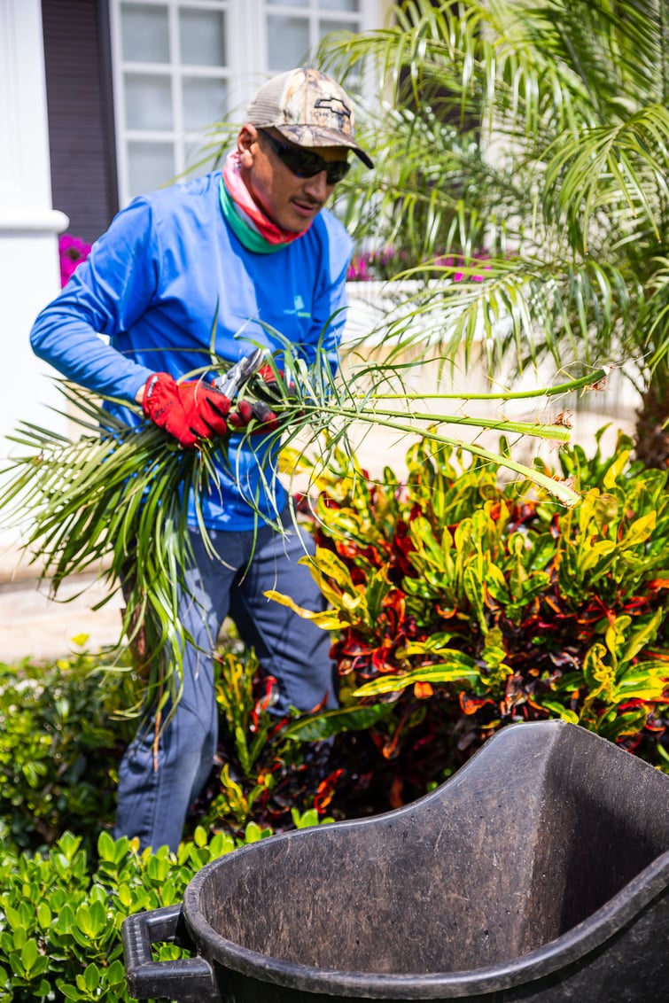 Maintenance crew hand pruning flower beds 7