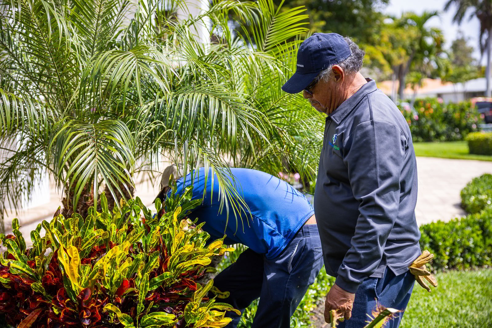 Maintenance crew hand pruning flower beds 9