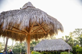Tiki Umbrella 1
