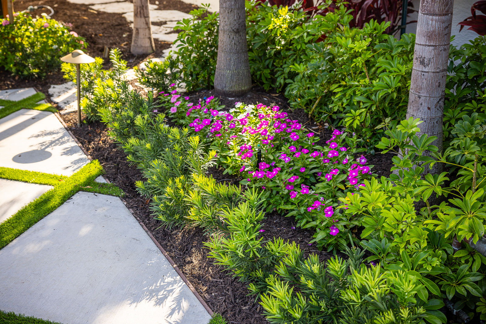 plant bed and flowers with mulch