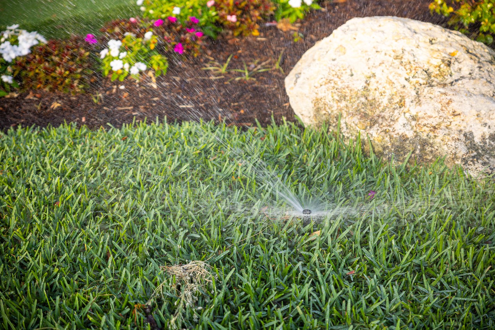 irrigation system running grass and flower beds