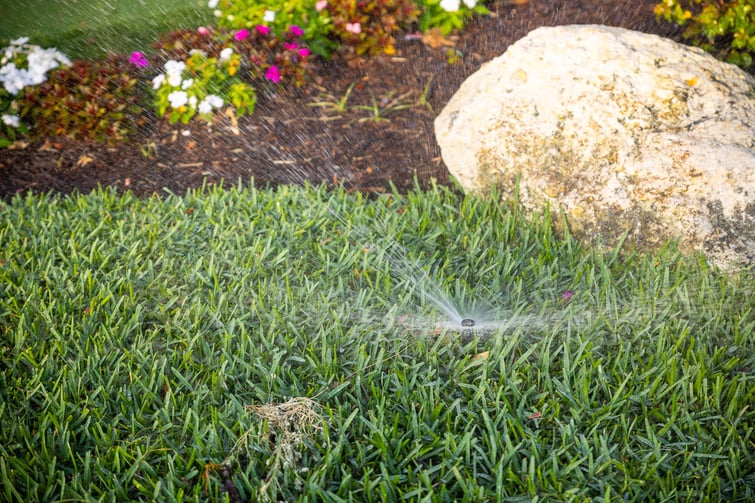 irrigation watering sod