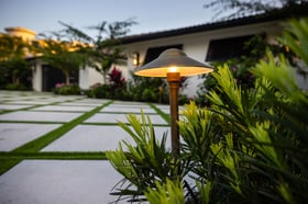 landscape lighting path lighting along driveway 