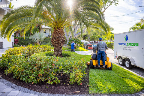 crew maintaining landscape front yard 