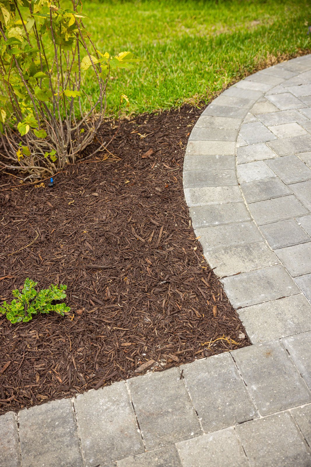 paver patio with mulched landscape bed