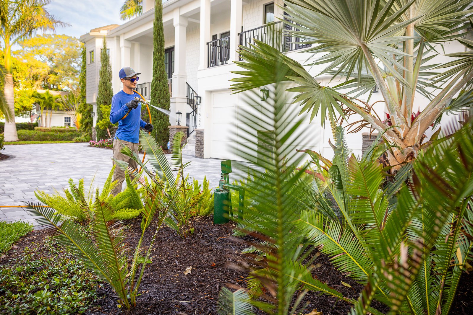 plant health care technician spraying plants 2