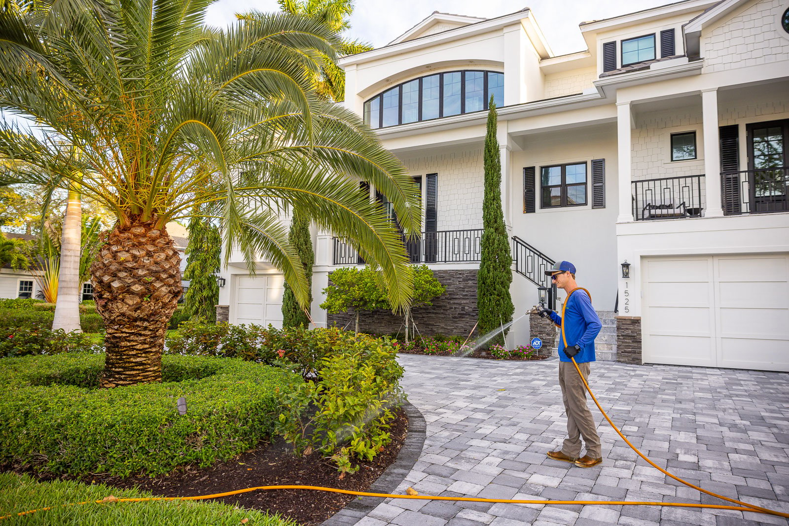 plant health care technician spraying plants 3