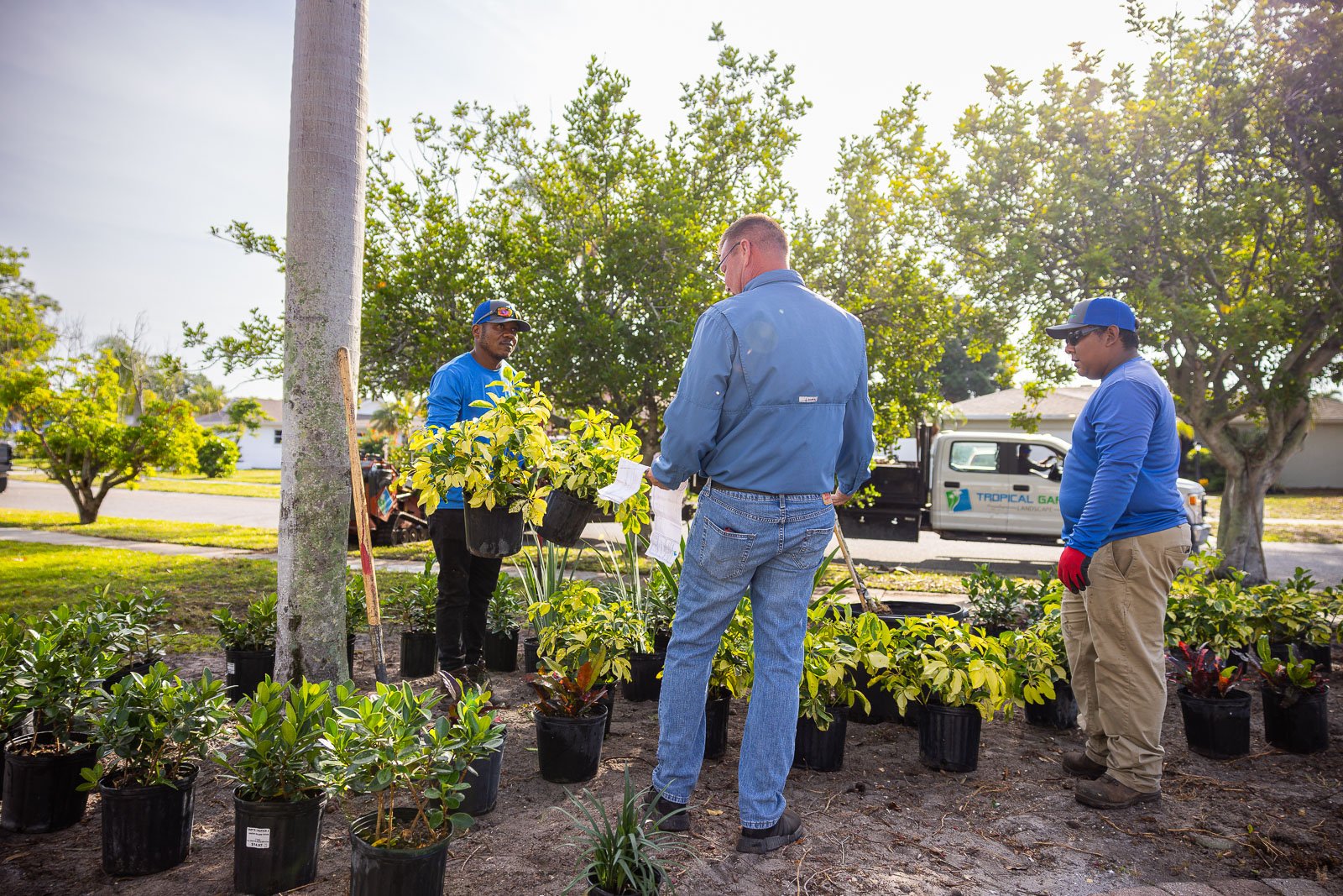 planting crew arranging plants 3