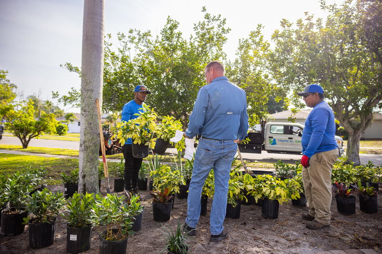 planting crew arranging plants 3
