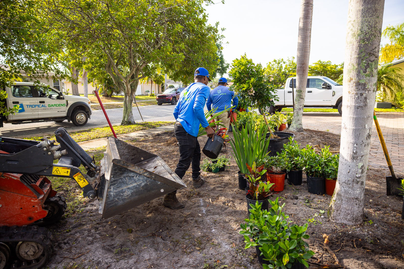 planting crew arranging plants