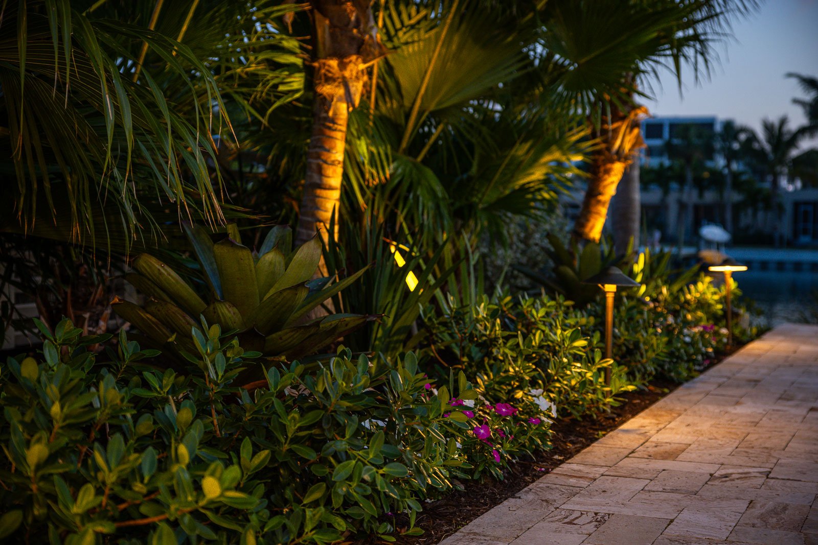 tree uplighting in landscape beds