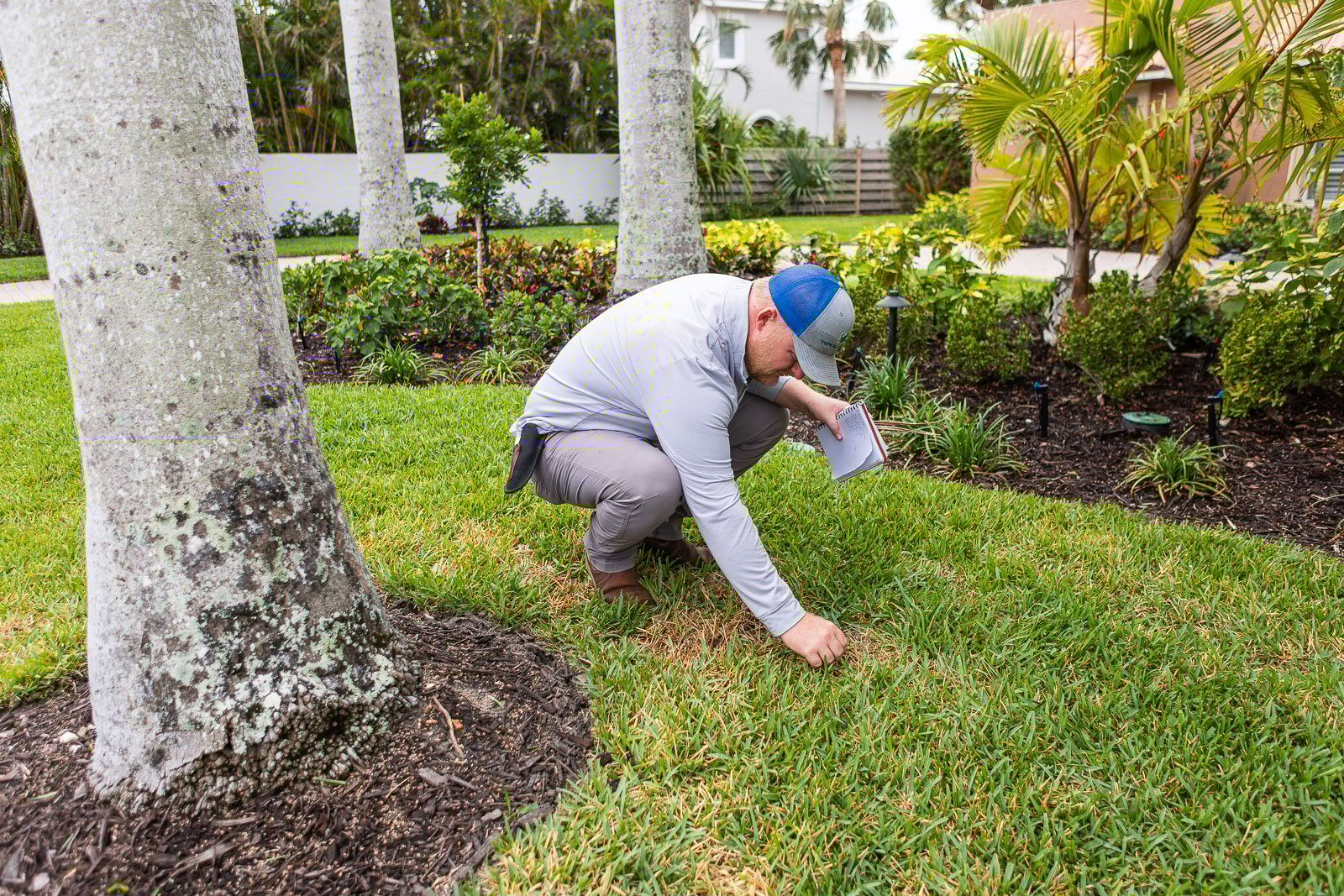 close up diseased lawn bare spot account manager inspecting