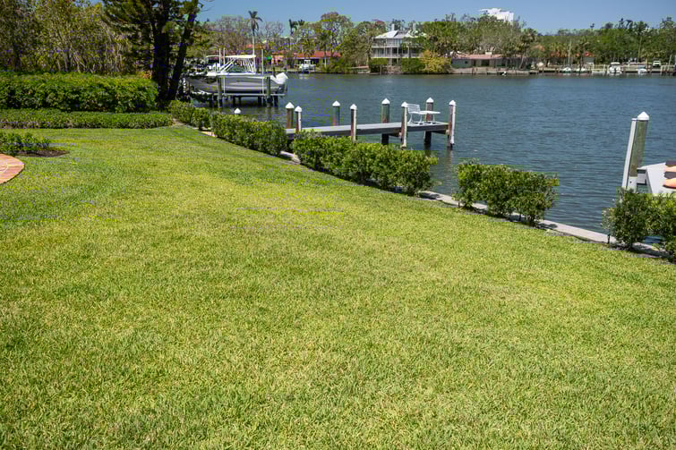 green lawn along water landscape 