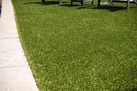 lawn care beautiful grass