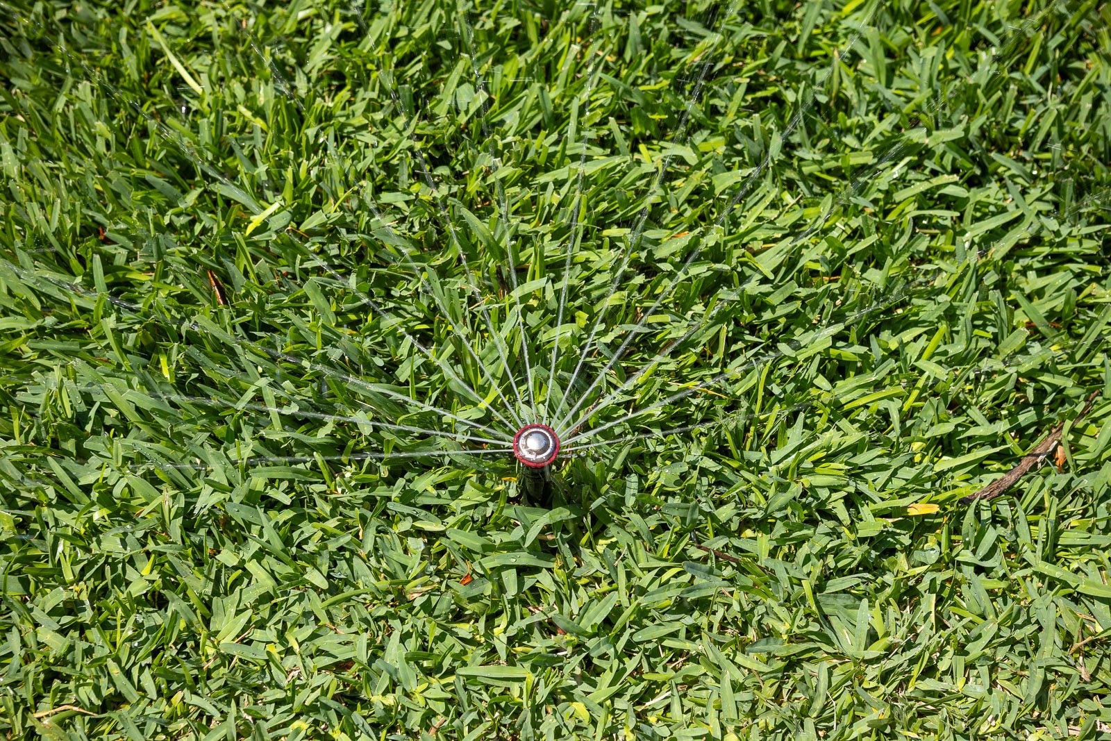 irrigation sprinkler water 