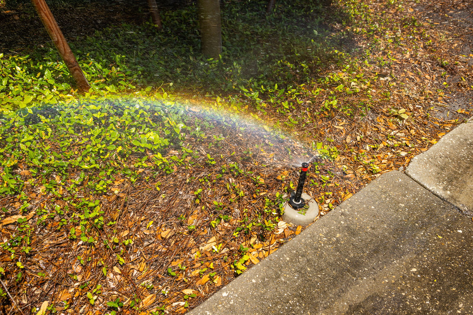 irrigation system landscape bed 