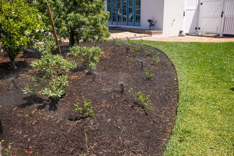 irrigation system watering landscape bed 3