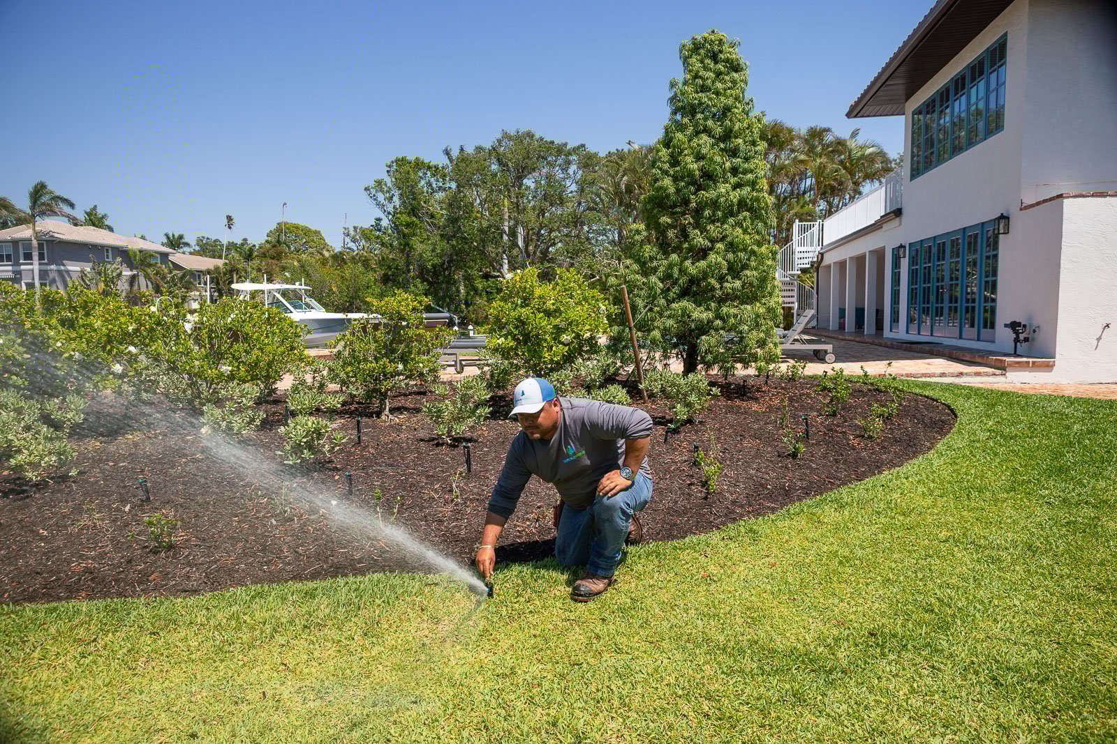 irrigation watering plants