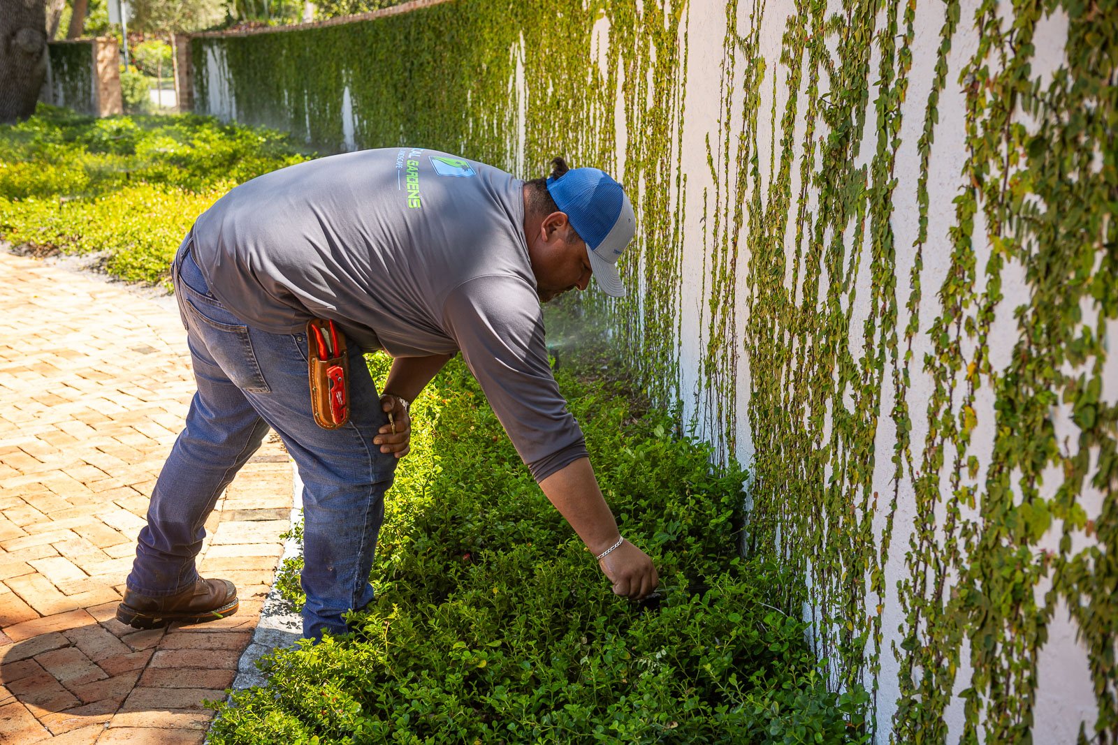 irrigtaion technician inspecting system