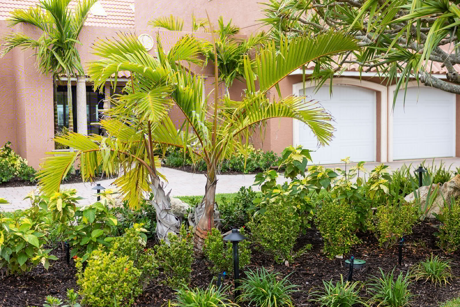 landscape bed outdoor lighting front of house 